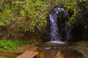 Foto - HORTO FLORESTAL - ESALQ
