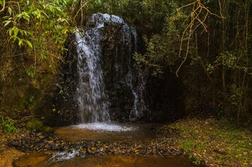Foto - HORTO FLORESTAL - ESALQ