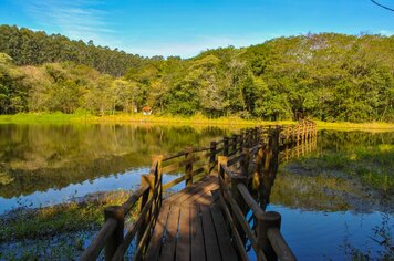 Foto - HORTO FLORESTAL - ESALQ