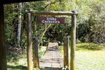 Foto - HORTO FLORESTAL - ESALQ