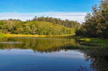 Foto - HORTO FLORESTAL - ESALQ