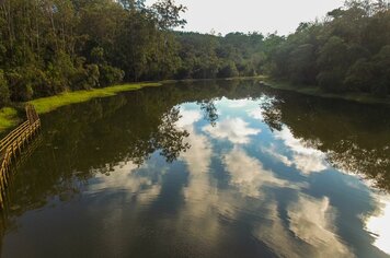 Foto - HORTO FLORESTAL - ESALQ