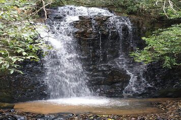 Foto - HORTO FLORESTAL - ESALQ